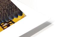 EAGLE HAS LANDED  HD Metal print