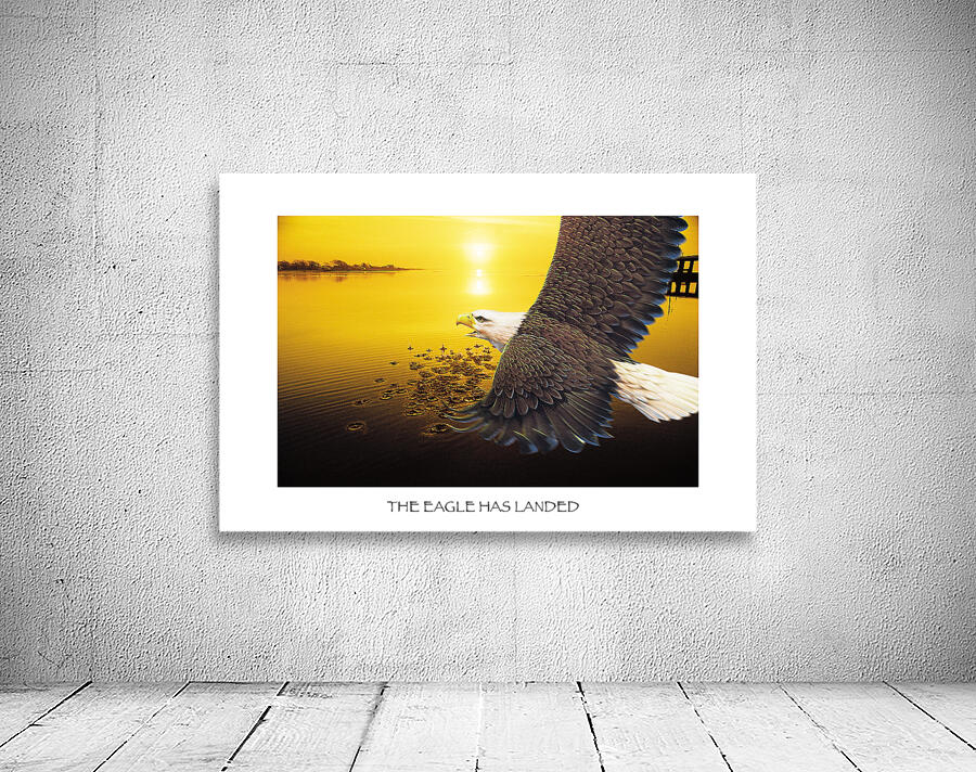 EAGLE HAS LANDED  Wall Preview