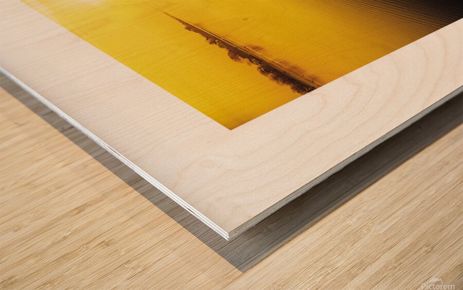 EAGLE HAS LANDED  Wood print