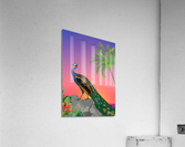Peacock Acrylic Print