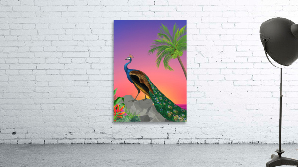 Peacock Wall Preview