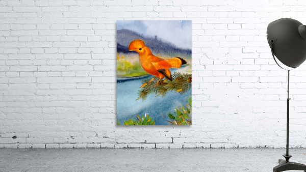 Mohawk Bird Wall Preview
