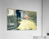 Ironic Indulgence Acrylic Print