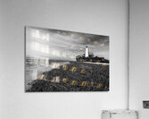 Low Tide at St. Marks Lighthouse Acrylic Print