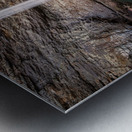 Reaching for Ozone Falls Metal print