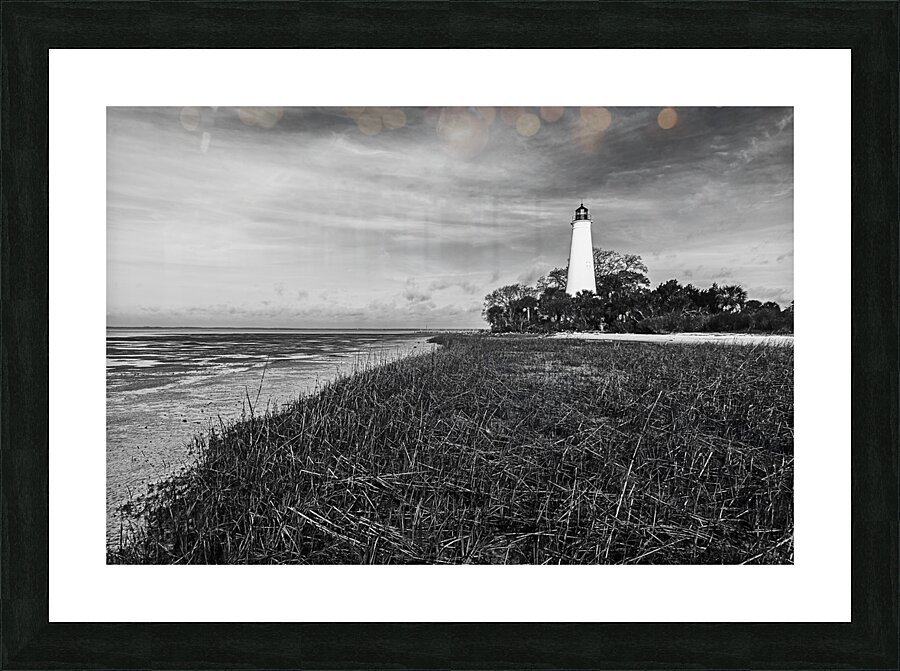 Low Tide at St. Marks Lighthouse Picture Frame print