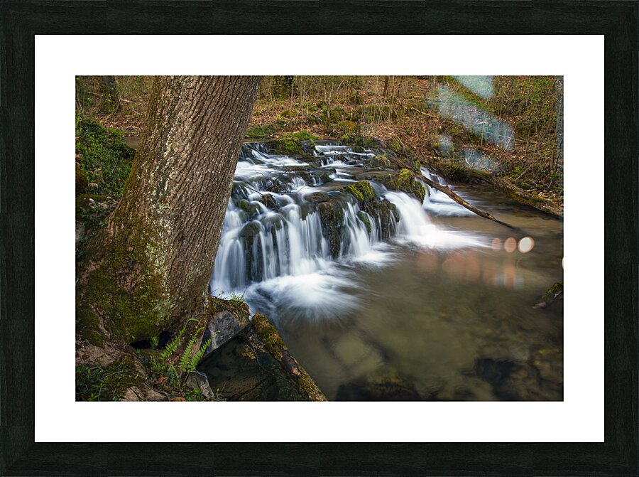 Flat Creek Cascade Picture Frame print
