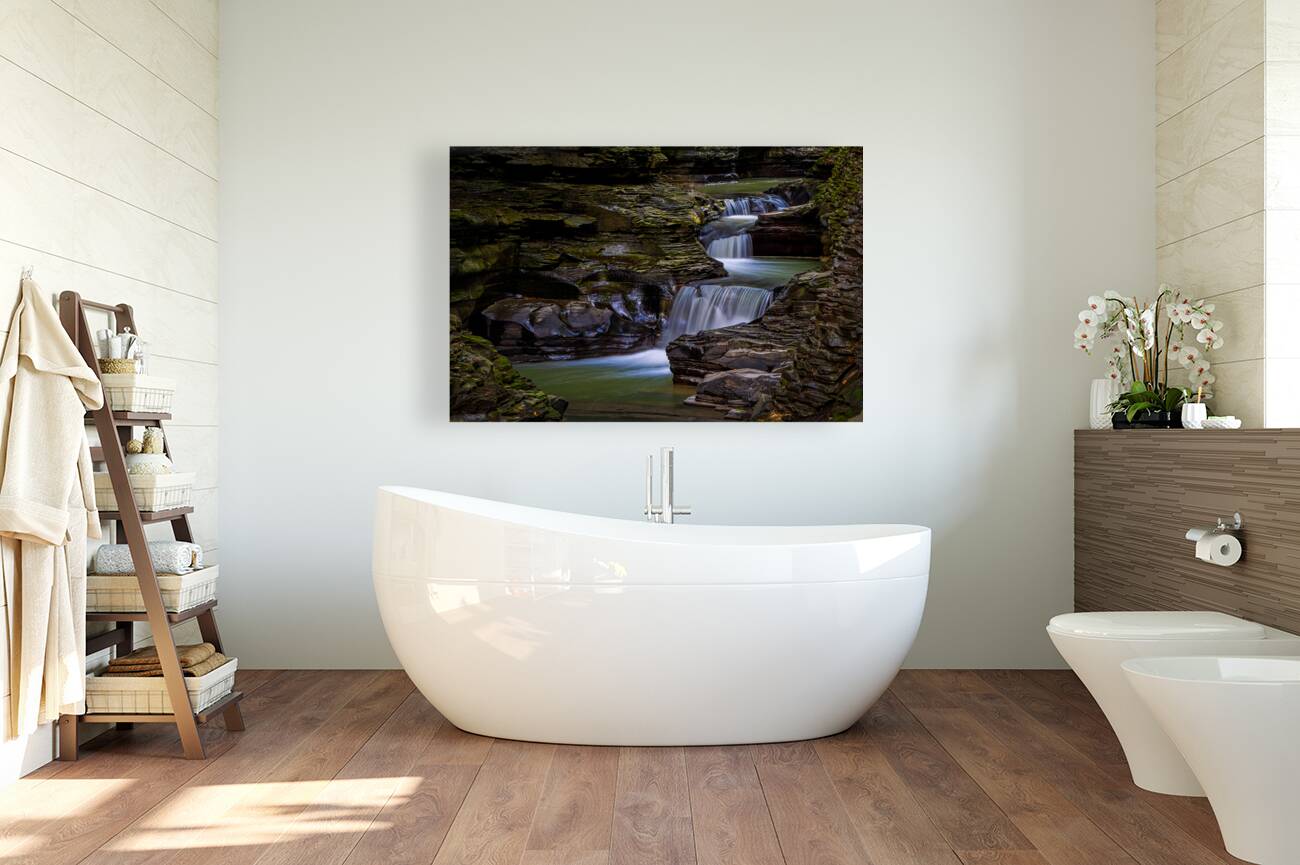 Watkins Glen pools Reproduction