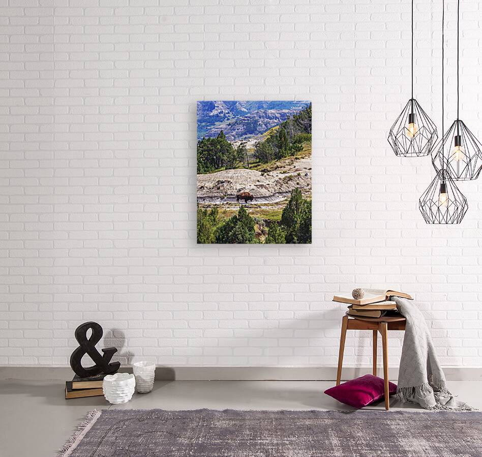 Bison in the Dakota Badlands Reproduction