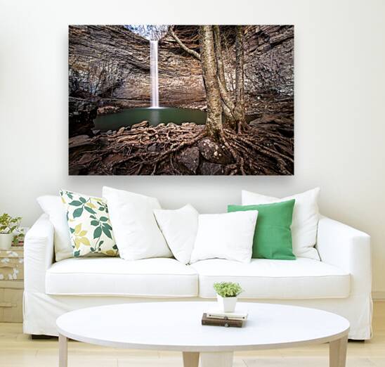 Reaching for Ozone Falls Reproduction