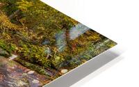 Autumn on the Cullasaja River HD Metal print