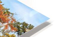Autumn on Palourde HD Metal print