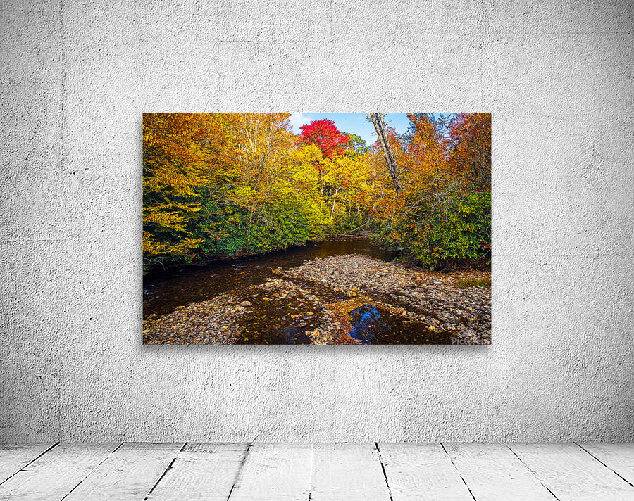 Autumn Spotlight Wall Preview
