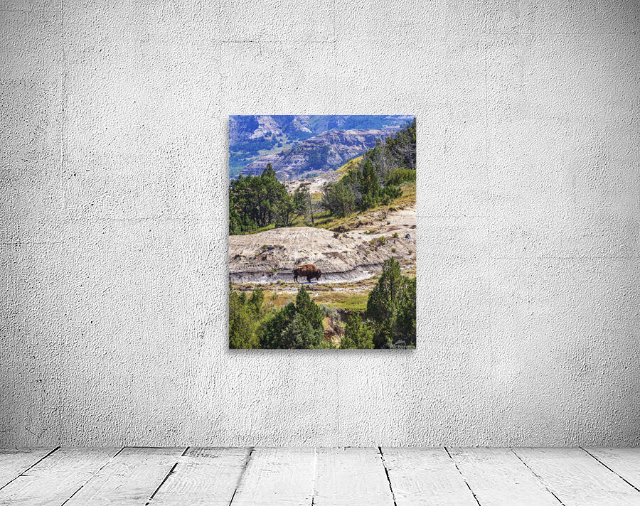 Bison in the Dakota Badlands Wall Preview