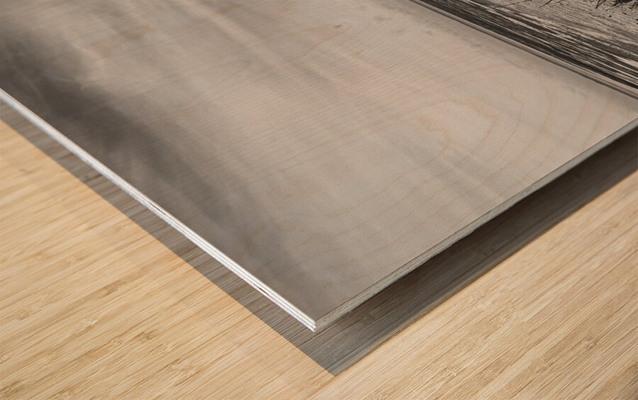 Low Tide at St. Marks Lighthouse Wood print