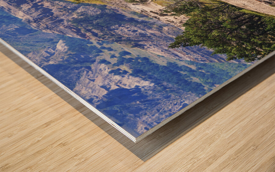 Bison in the Dakota Badlands Wood print