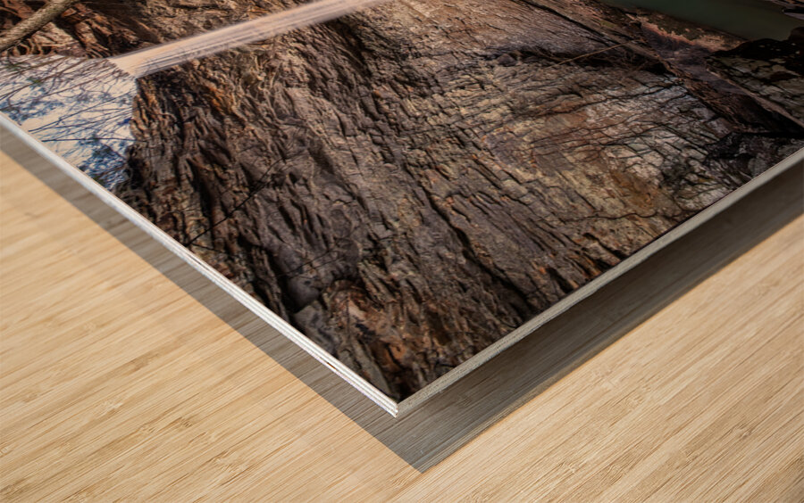 Reaching for Ozone Falls Wood print