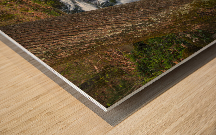 Flat Creek Cascade Wood print