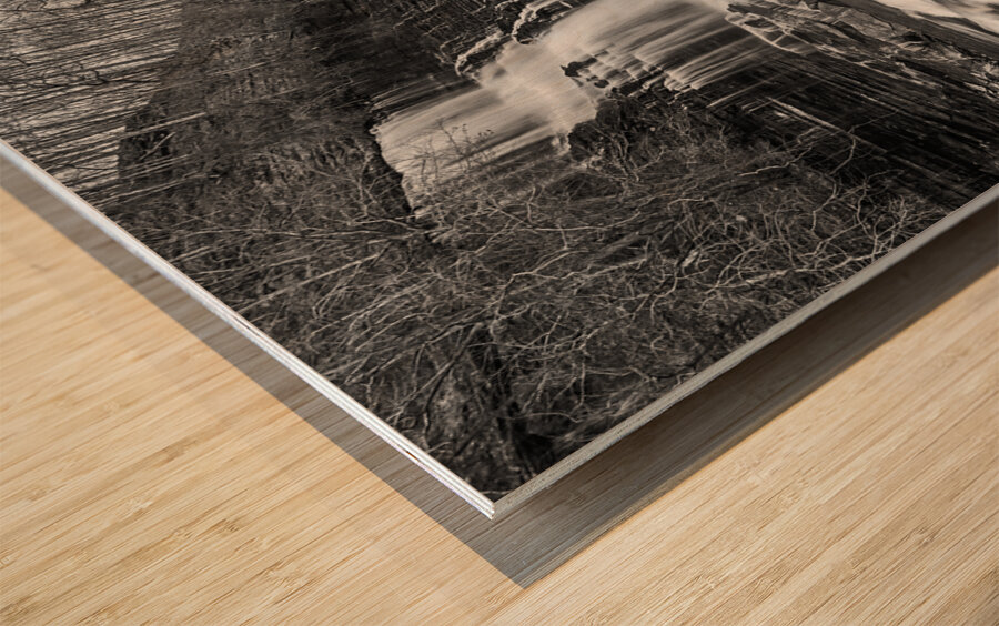 Winter at Twin Falls Wood print