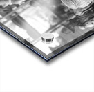 IMG 5040 Acrylic print