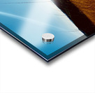 IMG 1198 Acrylic print