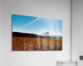 IMG 1198 Acrylic Print