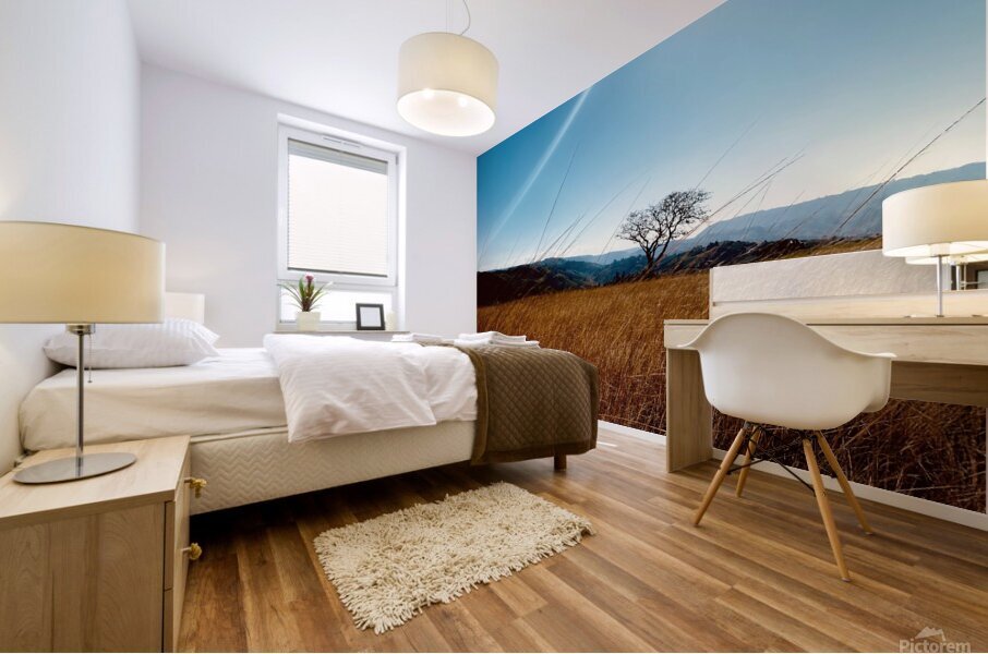 IMG 1198 Mural print