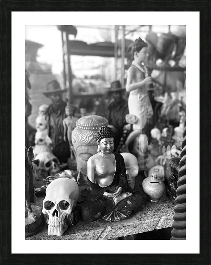 IMG 5040 Picture Frame print