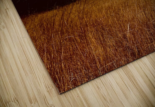 IMG 1198 Justin Crewe puzzle