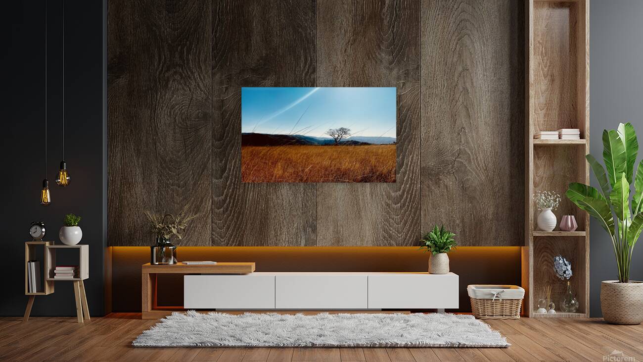 IMG 1198 Reproduction