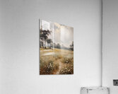 Countryside Nature Acrylic Print