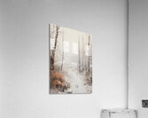 Snowy Path Acrylic Print