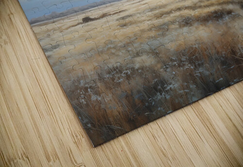 Sun above the field In Art Nest puzzle