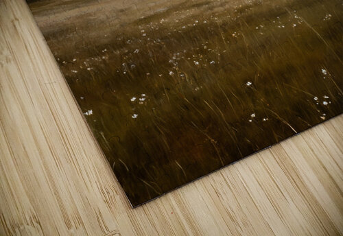 Ethereal Landscape In Art Nest puzzle