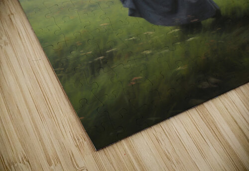 Lady in Meadow In Art Nest puzzle