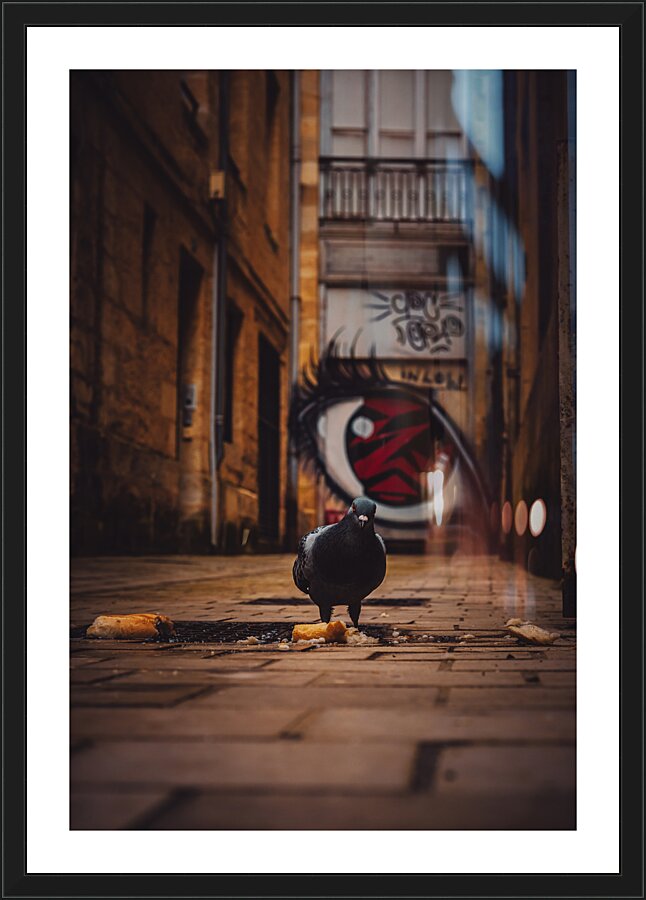 Angry Bird Picture Frame print