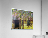 Wisteria Vines Acrylic Print