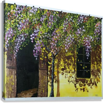 Wisteria Vines Canvas Print