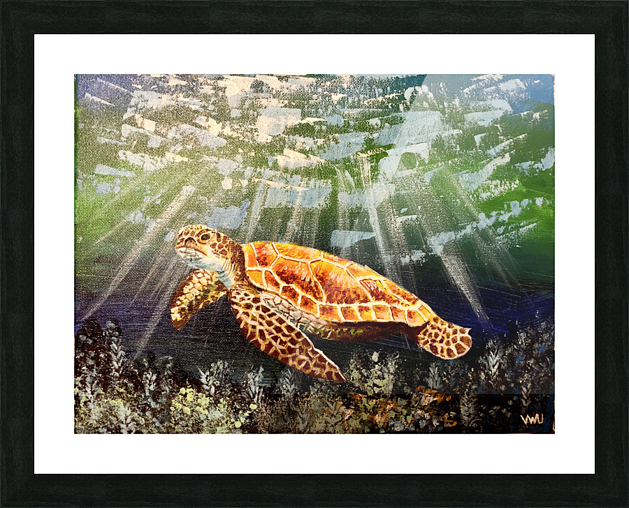 Underwater Turtle Picture Frame print