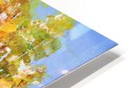 Birch Trees in Fall HD Metal print