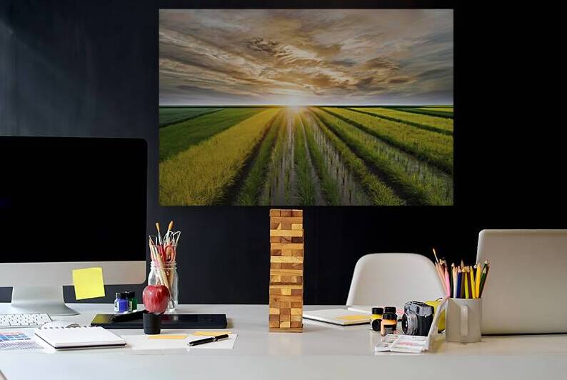 A stunning serene landscape of vibrant paddy fiel 1721373966.2784 by Alin Cojocaru