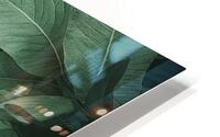 Leaf texture background HD Metal print