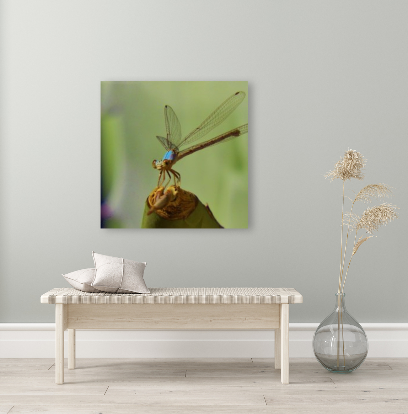 Damselfly Reproduction