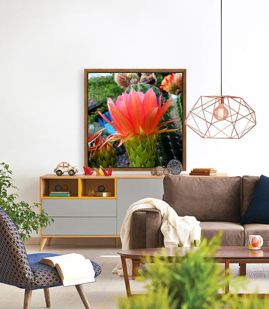 Cactus Flower Reproduction