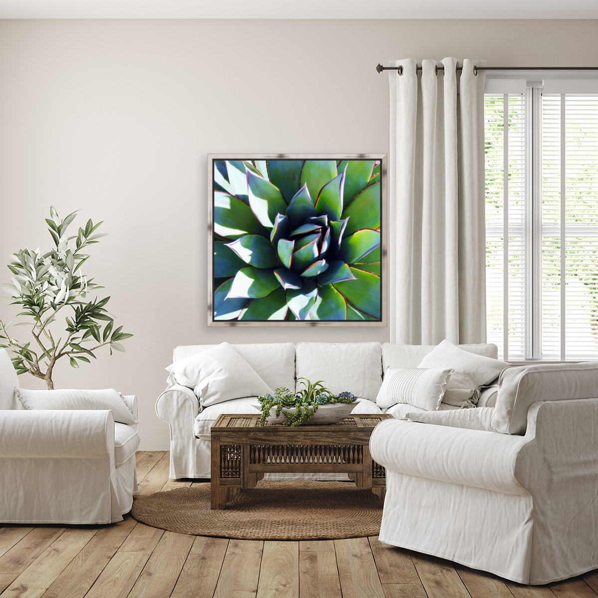 Agave II Reproduction