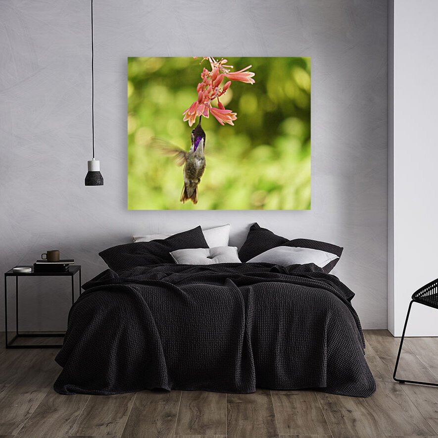 Hummingbird Reproduction