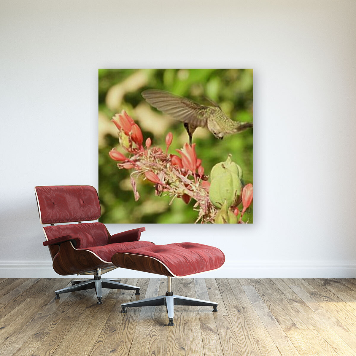 Hummingbird Feeding Reproduction