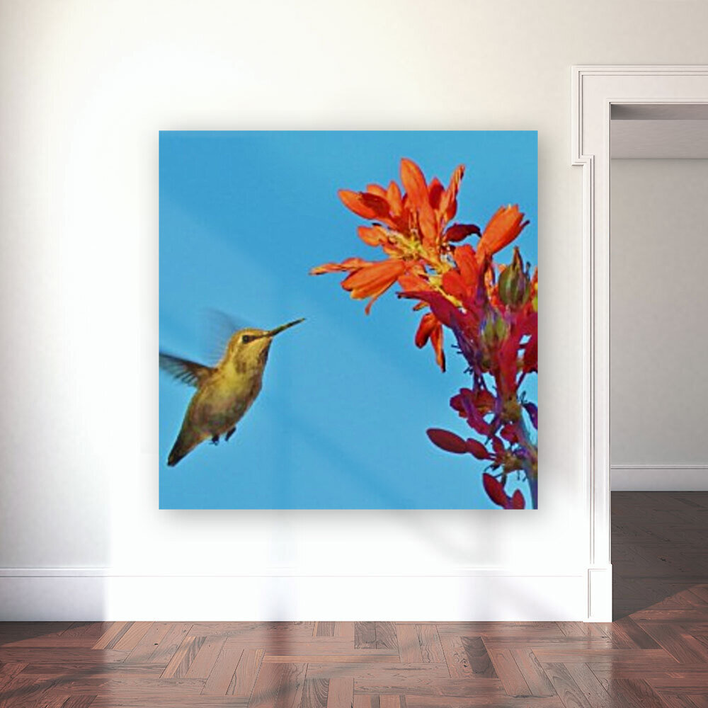 Hummingbird Flight Reproduction