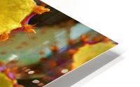 Cactus Flower HD Metal print