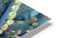 Prickly Pear HD Metal print